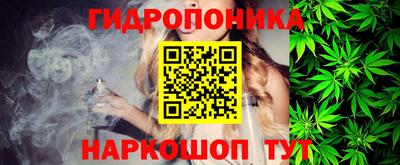шишки Партизанск