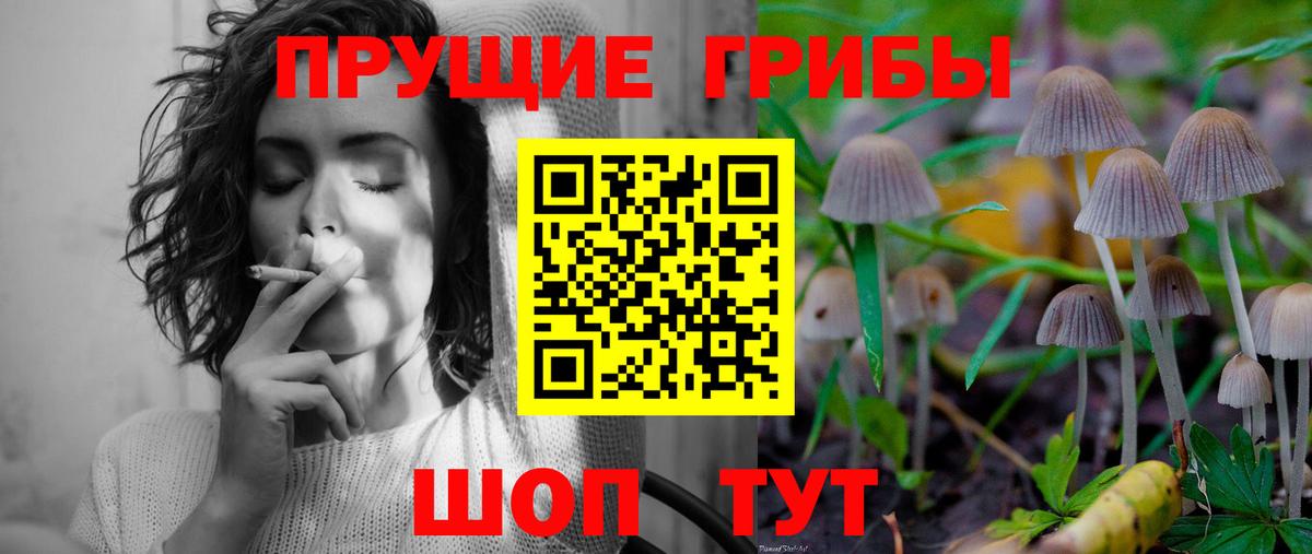 Псилоцибиновые грибы Psilocybine cubensis  Вход с VPN  Сертолово  Псилоцибиновые грибы Magic Shrooms 