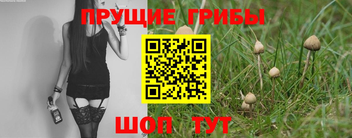 Галлюциногенные грибы Magic Shrooms Сертолово